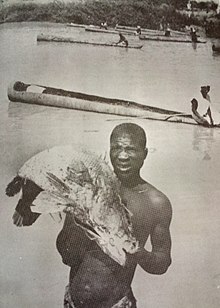 Argungu Festival: Africa’s Biggest Fishing Celebration